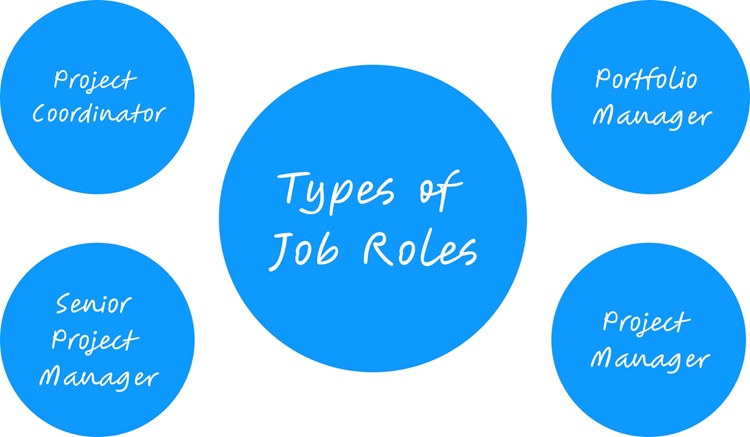 types of job roles in project management field